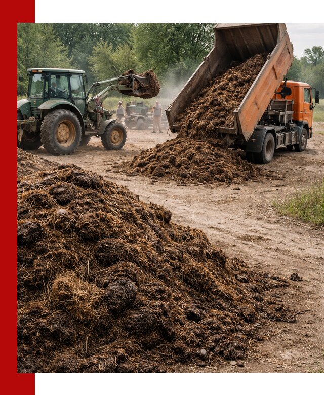 Доставка навоза самосвалами в Артёме для сельхозпотребностей