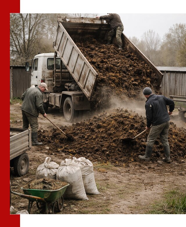 Доставка коровьего навоза самосвалом в Артёме